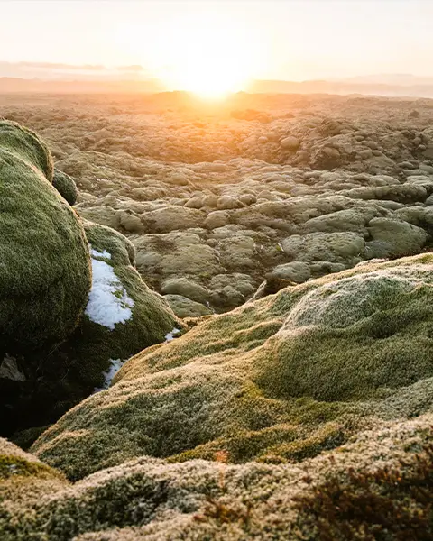 Berserkjahraun Lava Fields