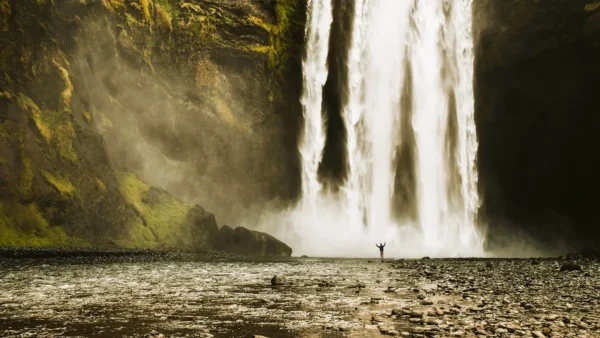 South Coast Private Tour